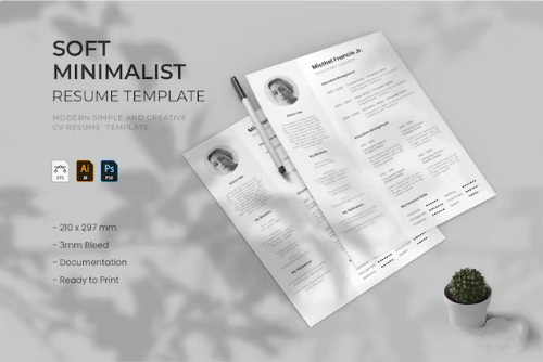 Soft minimalist resume vector