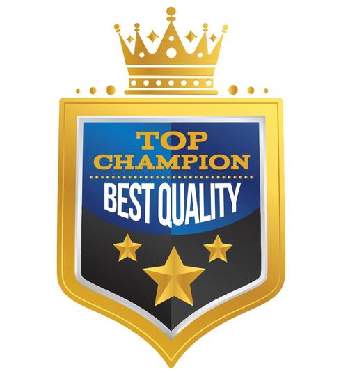 Top champion best quality badges vector