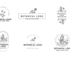 Wild plant logo vector