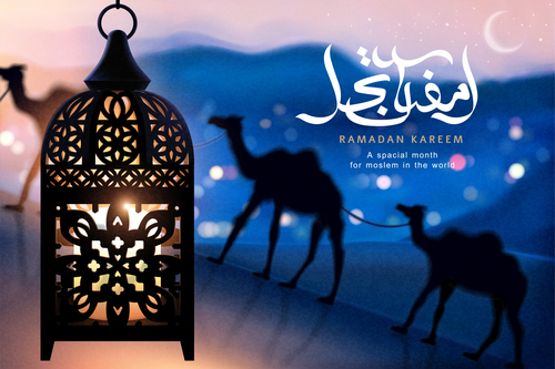 Camel and lantern muslim holiday greeting card vector