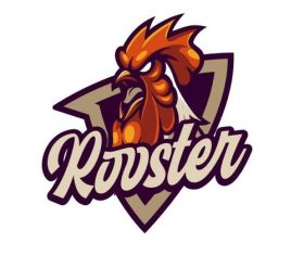 Rooster vector