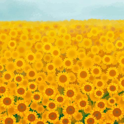 Background sunflower garden vector