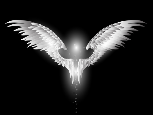 Black background white wing vector