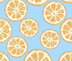 Citrus seamless background vector