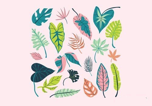 Flat design tropical leaves asset illustration vector