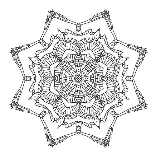 Mandala art pattern vector