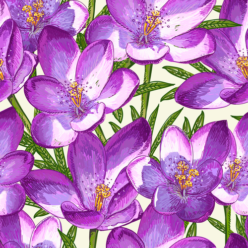 Orchids backgrounds vector