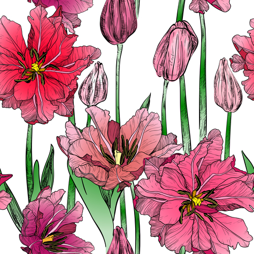 Poppies backgrounds vector