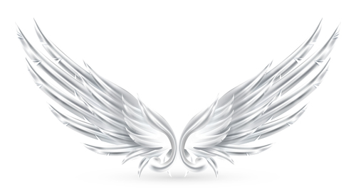 Wings white vector