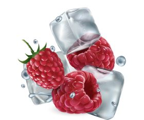Berry with ice cubes and water pleats vector