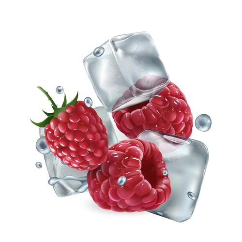 Berry with ice cubes and water pleats vector