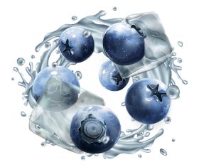 Blueberry and ice cubes vector