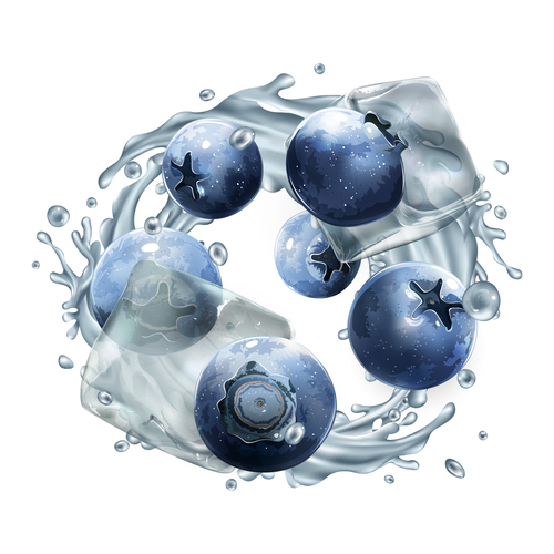 Blueberry and ice cubes vector