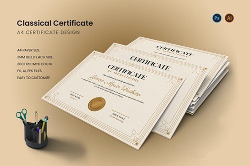 Classical certificate vector