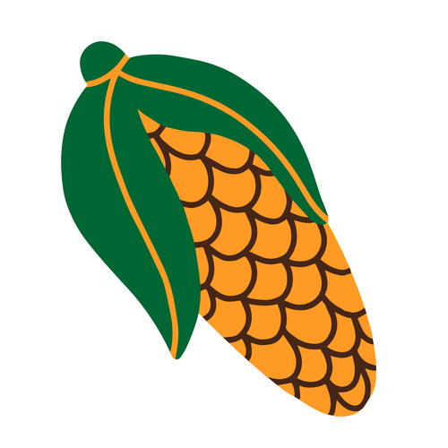 Corn vector