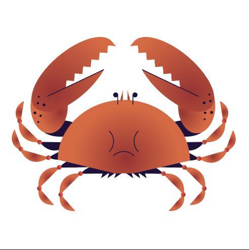 Crab vector