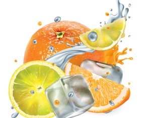 Fresh fruit with ice cubes and water pleats vector