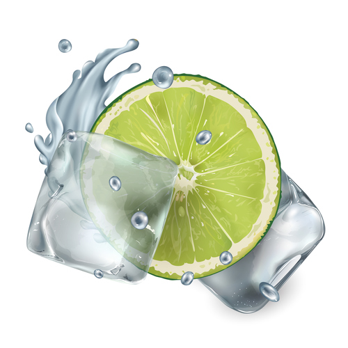 Green lemon and ice cubes vector