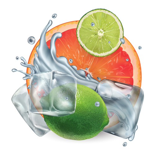 Lemon and ice cubes vector