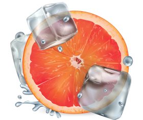 Orange and ice cubes vector
