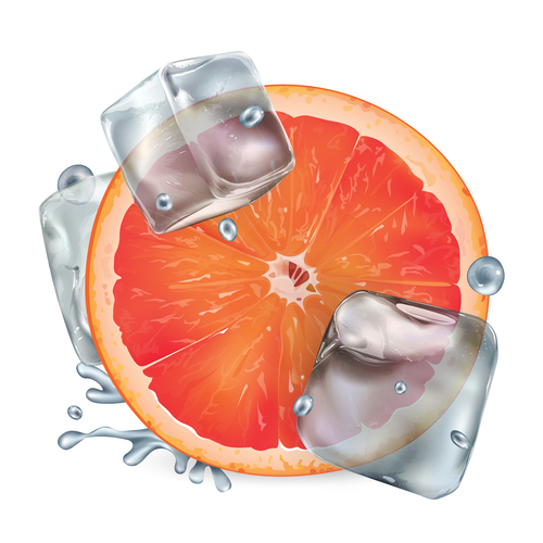 Orange and ice cubes vector