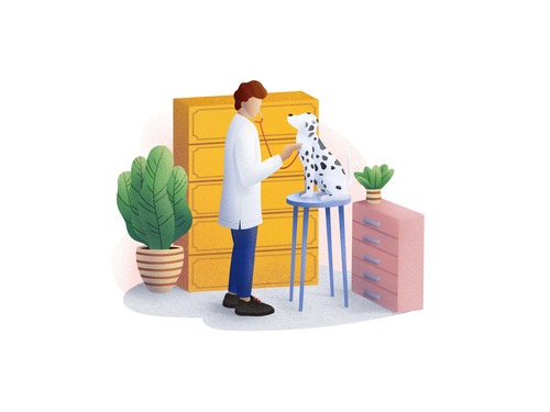 Pet hospital cartoon illustration vector