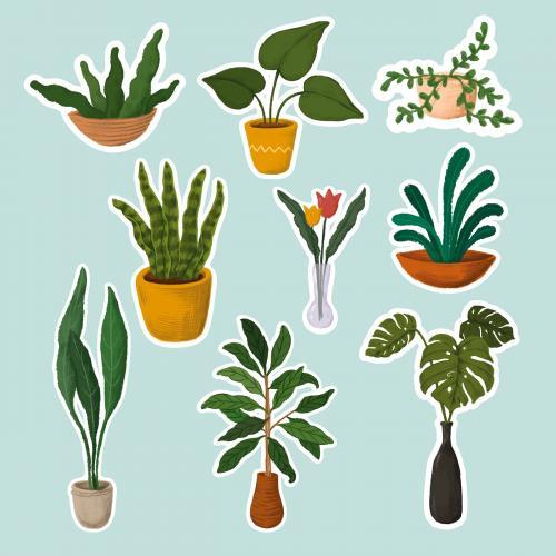 Plants sticker collection vector