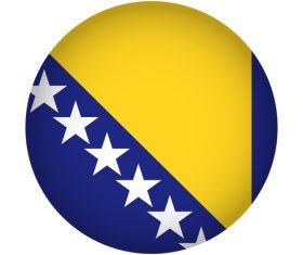 Bosnia and Herzegovina flag vector