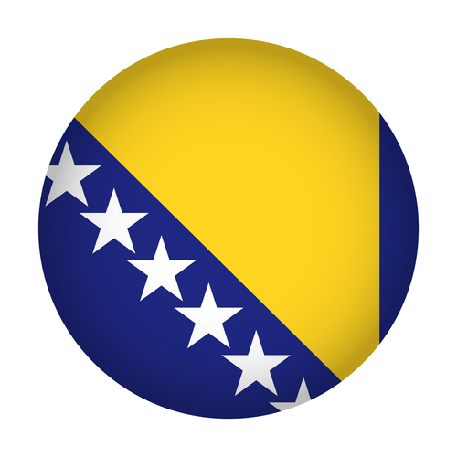 Bosnia and Herzegovina flag vector