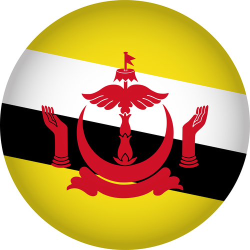 Brunei flags icon vector