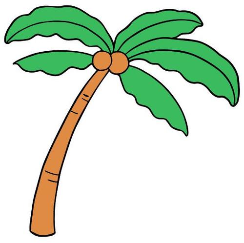 Coconut tree vector free download