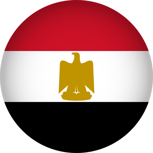 Egypt flags icon vector
