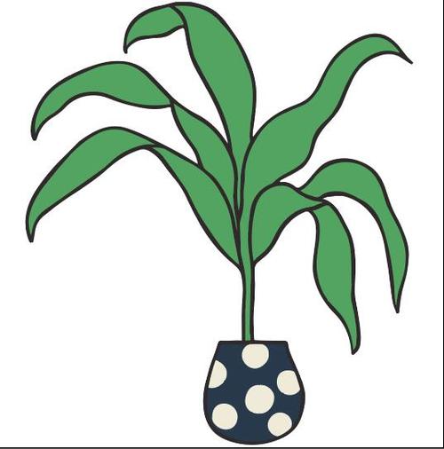 House plant vector