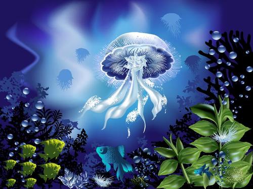 Jellyfish vector