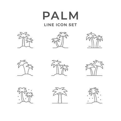 Line icons of palm vector