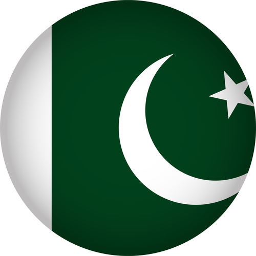 Pakistan flags icon vector