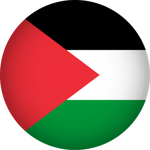 Palestine flags icon vector