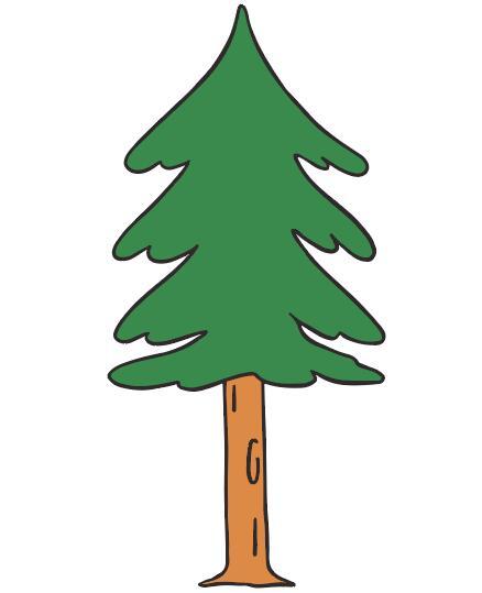 pine tree branch vector sketch illustration 6428743 Vector Art at Vecteezy