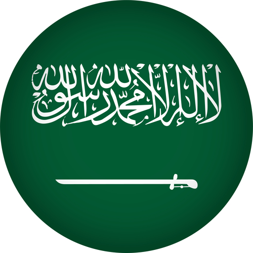 Saudi Arabia flags icon vector