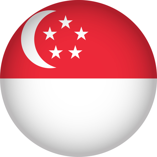 Singapore flags icon vector