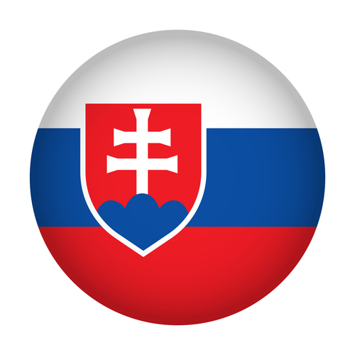 Slovakia flag vector