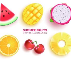Summer fruits vector