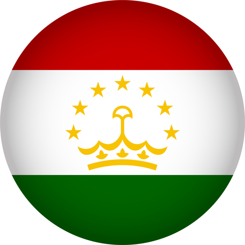 Tajikistan flags icon vector