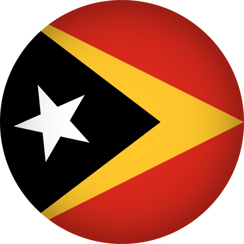 Timor Leste flags icon vector