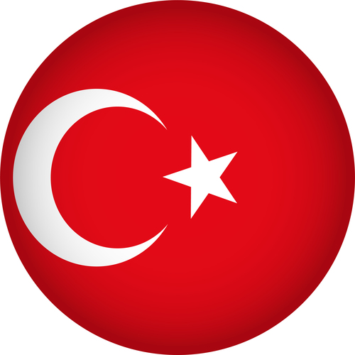 Turkey flags icon vector