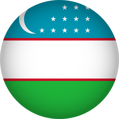 Uzbekistan flags icon vector