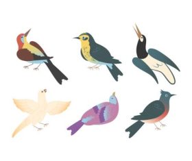 Common birds vector