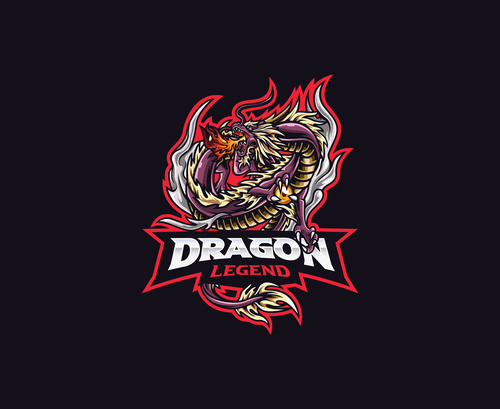 Dragon icon vector