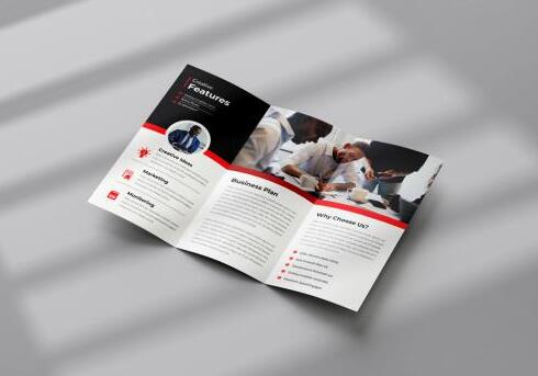 Multipurpose trifold brochure layout with red accent vector