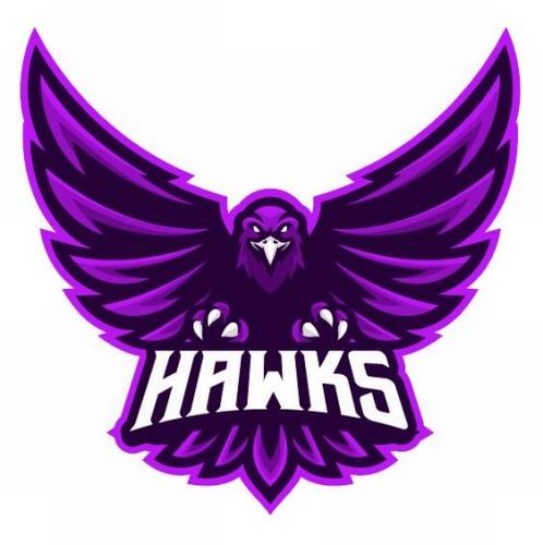 Purple hawk icon vector